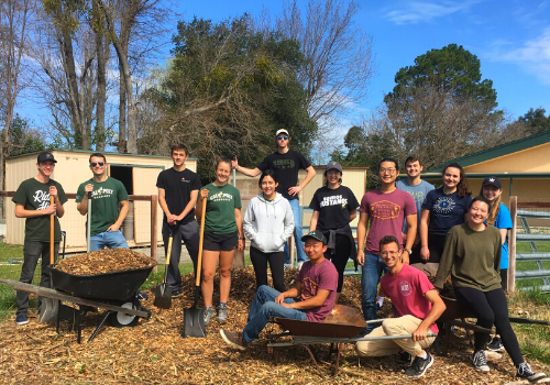 Volunteers helping garden with One Cool Earth