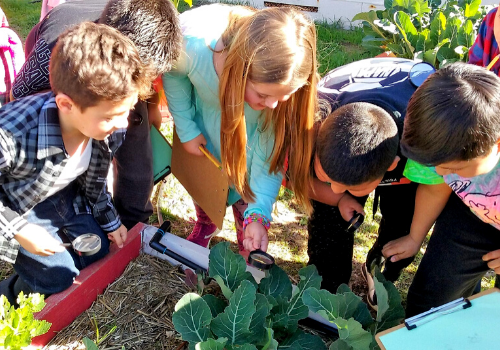 Kids gardening using One Cool Earth's programs and resources for educators and parents